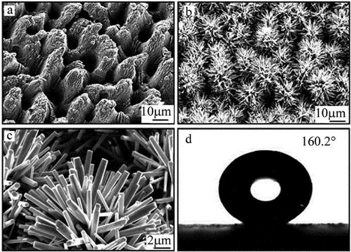 1565331067863970.jpg 6.jpg